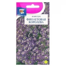 Семена цветов Алиссум "Фиолетовая королева", 0,1 г (2 шт)